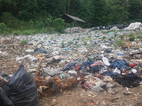 دپوی زباله در جنگل عباس‌آباد