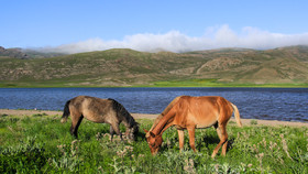 طبیعت بهاری دریاچه نئور