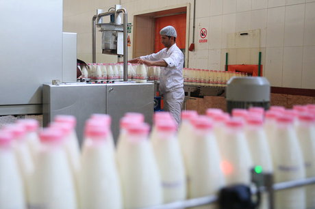 احتمال از دست رفتن بازار صادرات لبنیات/ دپوی 40 هزار تن شیرخشک