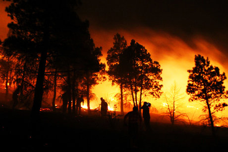 آتش به جان 15 هکتار از جنگل‎های "پلدختر" افتاد