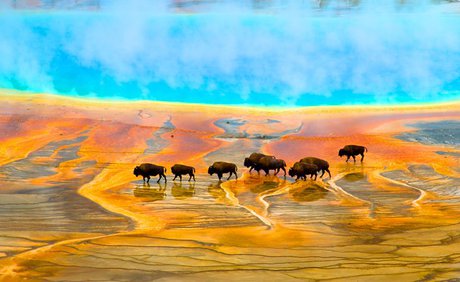 چشمه‌هایی که چشم دنیا را گرفته‌ + عکس