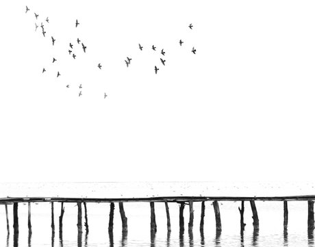 ثبت تصاویری از آرزوی دیرینه انسان