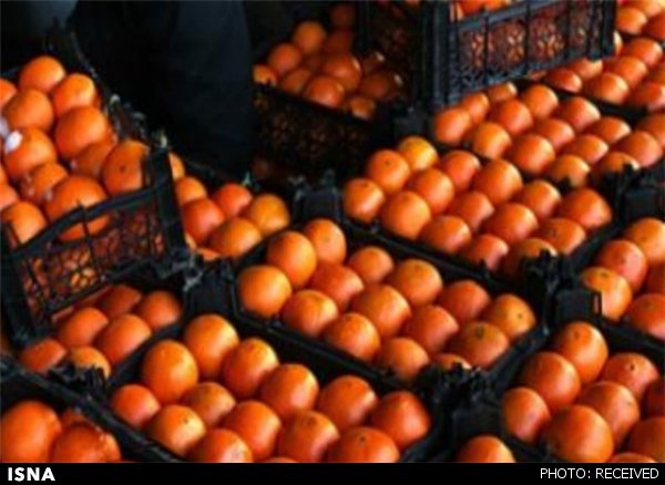 قیمت پرتقال در باغ  ٢٠٠٠ تومان؛ فروش در بازار۲۰ هزار تومان!