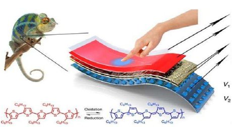 پوست الکترونیکی کشسان با الهام از آفتاب‌پرست