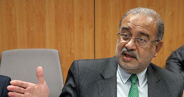 مصر هنوز درخواستی درباره پناهندگی از سوی گولن دریافت نکرده‌ است