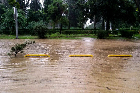 ارزش 4500 میلیارد تومانی بارش‌ها