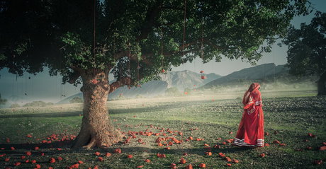 عکس‌هایی از کابوس‌ها و رویاهای یک درخت