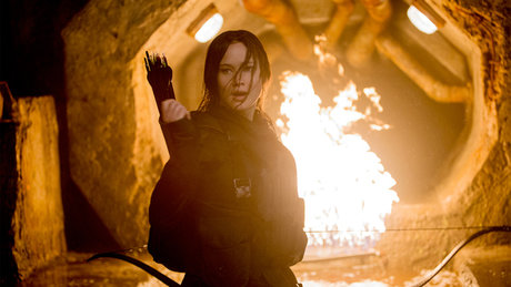 فروش جهانی «مرغ مقلد» به 440 میلیون دلار رسید