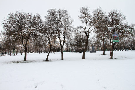 ورود سامانه بارشی از جمعه 