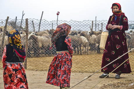  حسرت برای یکجانشینی!