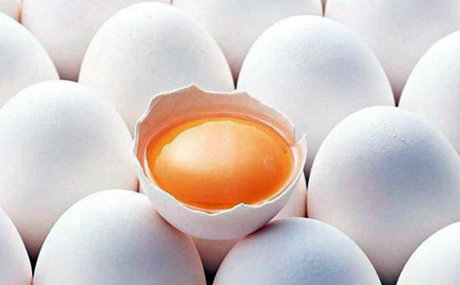 ادامه واردات و ارزانی تخم مرغ در بازار