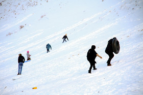 1454143717649_isna-16.jpg