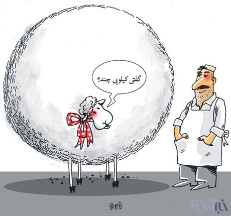 چگونه با گرانی کنار بیاییم گرانی گوشت