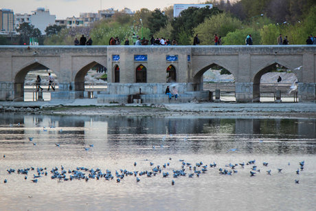 زاینده‌رود را کامل می‌خواهیم: از سراب تا تالاب