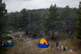 از بازتعریف کارکردهای جدید تا برگزاری اردوهای دانش‌آموزی در بوستان‌های جنگلی