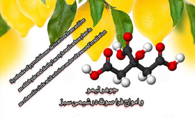 انتشار یافته‌های پژوهشی دو محقق ایرانی در معتبرترین مجله تخصصی شیمی سبز جهان