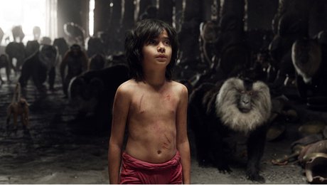 «کتاب جنگل» در دو روز 87 میلیون دلار فروخت 