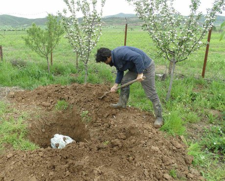 هنرمندی که اثر خود را به خاک تقدیم کرد+ عکس