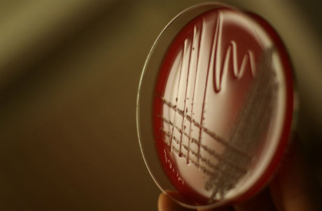 شهرها هم اثرانگشت دارند!