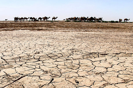 سکوت جازموریان