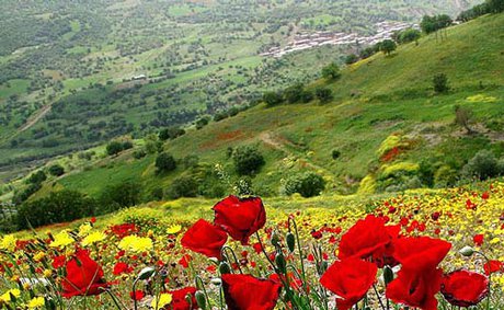 کردستان با «نوروزگاه» به پیشواز بهار می‌رود
