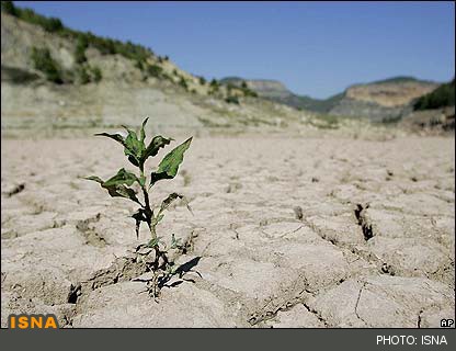 آماده شدن سند توسعه فناوری آب و خشکسالی بزودی/توسعه کشت گیاهان کم‌مصرف