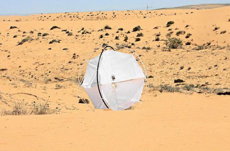 طراحی ربات بیابان‌گرد با الهام از خار