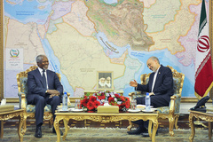 دیدار کوفی عنان با صالحی