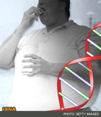 کشف عملکرد ژن چاقی با تحریک حس گرسنگی