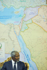 دیدار کوفی عنان با صالحی