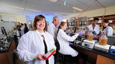 درمان عفونت‌های روده‌ای با نخستین مدفوع مصنوعی جهان