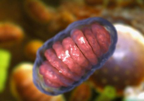 عمر انسان قابل پیش‌بینی می‌شود؟