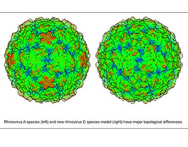 چرا هنوز درمانی برای سرماخوردگی وجود ندارد؟