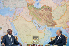 دیدار کوفی عنان با صالحی