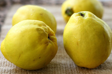 میوه "به" در کاهش تهوع بارداری موثر است