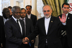 دیدار کوفی عنان با صالحی