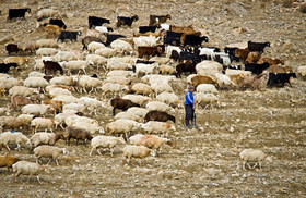 زندگی در روستای چناران - بجنورد