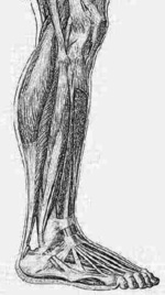 نوشیدنی‌های شیرین خطر ابتلا به نقرس را افزایش می‌دهند