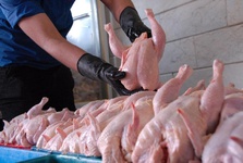 افزایش قیمت گوشت مرغ در آستانه عید