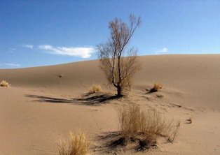 بیابان‌زایی زلزله خاموش قرن است