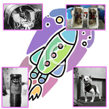 حیوانات پیشگام در فضا به روایت «اسپیس»