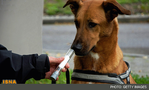 دستگاهی برای تشخیص سرطان مثانه از بوی ادرار 