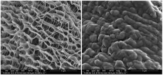 تولید پارچه‌های پنبه‌ای ضد باکتری سازگار با پوست