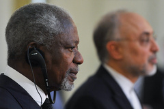 دیدار کوفی عنان با صالحی