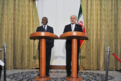 دیدار کوفی عنان با صالحی