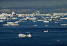 مهاجرت اکوسیستم‌ها پیامد «تغییرات‌ جوی»!