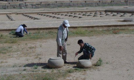 کاهش ۳۰ درصدی محصول با رشد علف‌های هرز