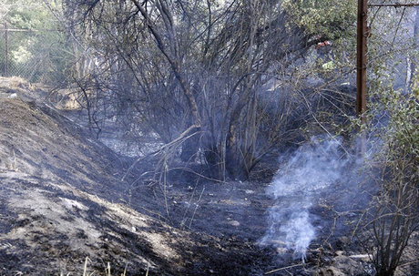 مهار آتش باغ فرزانه‌ شیراز 