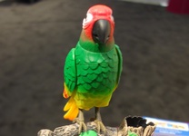 ربات طوطی‌نمای ایرانی به کمک مبتلایان اوتیسم آمد