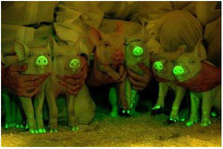 وقتی خورشید آغوش می‌گشاید+ فیلم